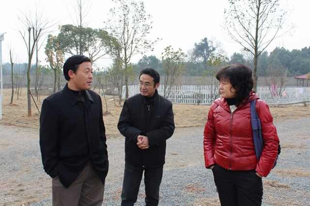�캣����ϯ��̽�Ժ�����������ι�ͨ����
